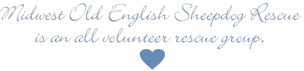 Midwest Old English Sheepdog Rescue is an all volunteer rescue group